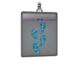 Sticker Slab | CT Tracks (Glitter)