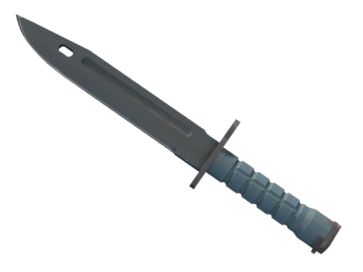 ★ Bayonet | Night (Minimal Wear)