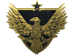 Brigadier General Pin