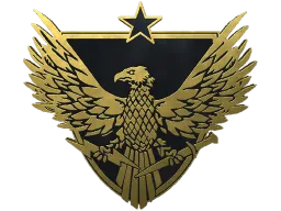 Brigadier General Pin