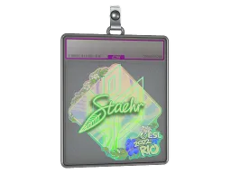 Sticker Slab | Staehr (Holo) | Rio 2022