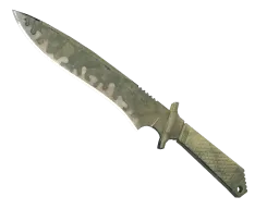 ★ Classic Knife | Safari Mesh (Battle-Scarred)