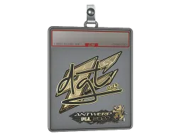 Sticker Slab | dgt (Gold) | Antwerp 2022