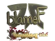 Sticker | blameF (Gold) | Shanghai 2024 CS2 skin