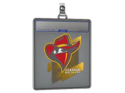 Sticker Slab | Renegades | Boston 2018