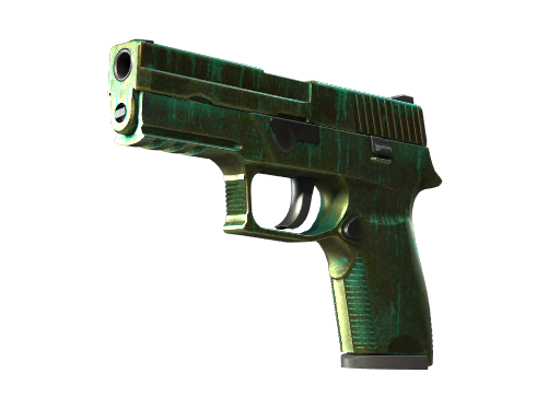 P250 | Verdigris (Battle-Scarred)