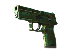 StatTrak™ P250 | Verdigris (Battle-Scarred)