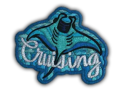 Sticker | Cruising Ray