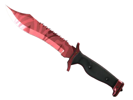 Bowie Knife | Slaughter