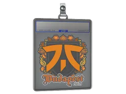 Sticker Slab | fnatic | Budapest 2025