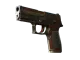 P250 | Cyber Shell CS2 skin