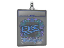 Sticker Slab | EliGE | Budapest 2025