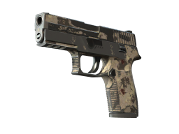 P250 | Black & Tan (Battle-Scarred)