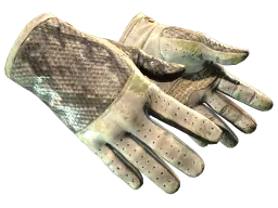 ★ Driver Gloves | King Snake (Battle-Scarred)