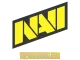 Sticker | Natus Vincere | Copenhagen 2024 CS2 skin