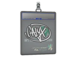 Sticker Slab | Calyx | Antwerp 2022