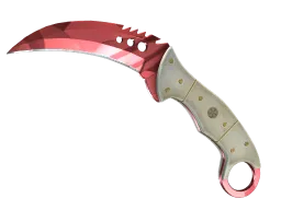 ★ StatTrak™ Talon Knife | Slaughter (Factory New)