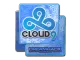 Sticker | Cloud9 | DreamHack 2014 CS2 skin