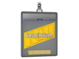 Sticker Slab | Aleksib | Copenhagen 2024