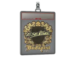Sticker Slab | esenthial (Gold) | Budapest 2025
