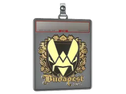 Sticker Slab | Vitality (Gold) | Budapest 2025