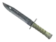 ★ Bayonet | Stained CS2 skin