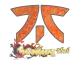 Sticker | Fnatic | Shanghai 2024 CS2 skin