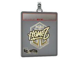 Sticker Slab | FlameZ (Gold) | Paris 2023