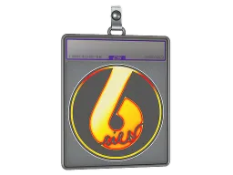 Sticker Slab | Flame Tier6 (Holo)