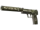 USP-S | Flashback CS2 skin