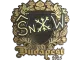 Sticker | snow (Gold) | Budapest 2025 CS2 skin