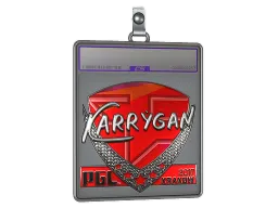 Sticker Slab | karrigan (Foil) | Krakow 2017