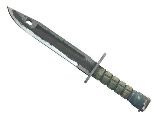 ★ Bayonet | Night (Battle-Scarred)