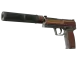 USP-S | Business Class CS2 skin