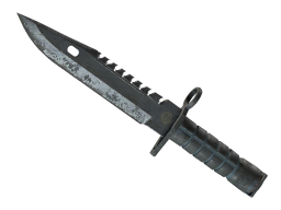 ★ M9 Bayonet | Night (Battle-Scarred)