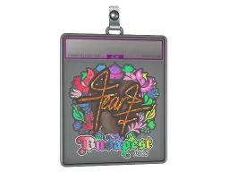 Sticker Slab | fEAR (Holo) | Budapest 2025