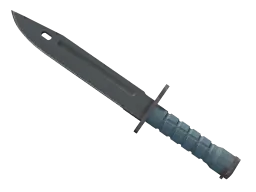 ★ StatTrak™ Bayonet | Night (Factory New)