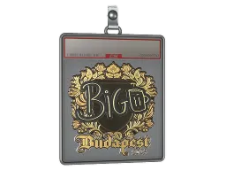 Sticker Slab | biguzera (Gold) | Budapest 2025