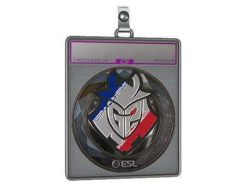 Sticker Slab | G2 Esports (Foil) | Katowice 2019