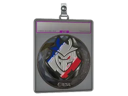 Sticker Slab | G2 Esports (Foil) | Katowice 2019