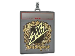 Sticker Slab | sk0R (Gold) | Budapest 2025