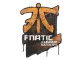 Sealed Graffiti | Fnatic | Boston 2018 CS2 skin