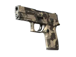 P250 | Black & Tan CS2 skin