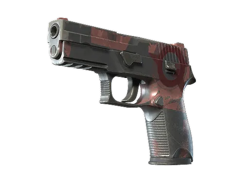 P250 | Constructivist (Field-Tested)