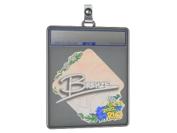 Sticker Slab | Brehze | Rio 2022