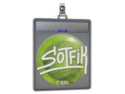 Sticker Slab | S0tF1k | Katowice 2019