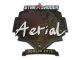 Sticker | Aerial | Berlin 2019 CS2 skin