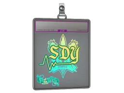 Sticker Slab | sdy (Holo) | Paris 2023