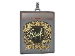 Sticker Slab | Tiger (Gold) | Budapest 2025
