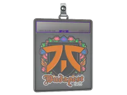 Sticker Slab | fnatic (Embroidered) | Budapest 2025
